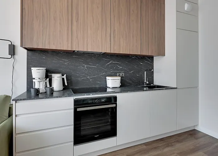 Scala Center Premium By Lion Apartament