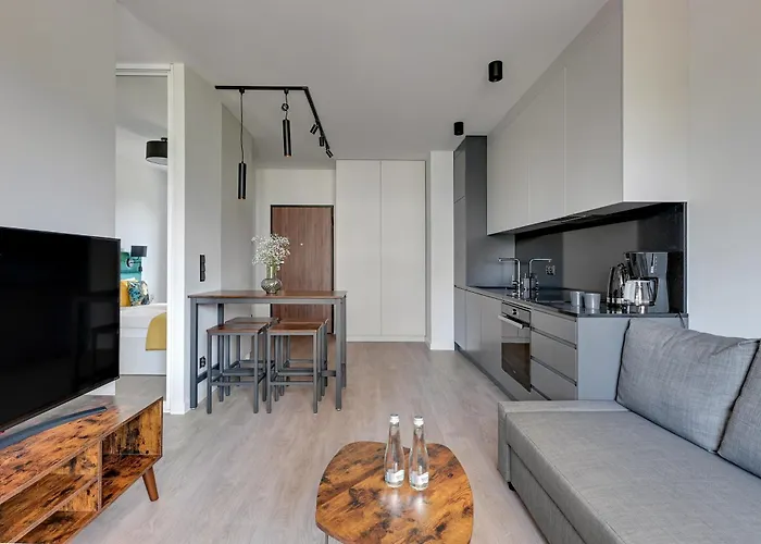 Scala Center Premium By Lion Apartament *